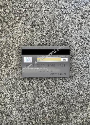 Syria Cham Bank visa platinum card photolook back